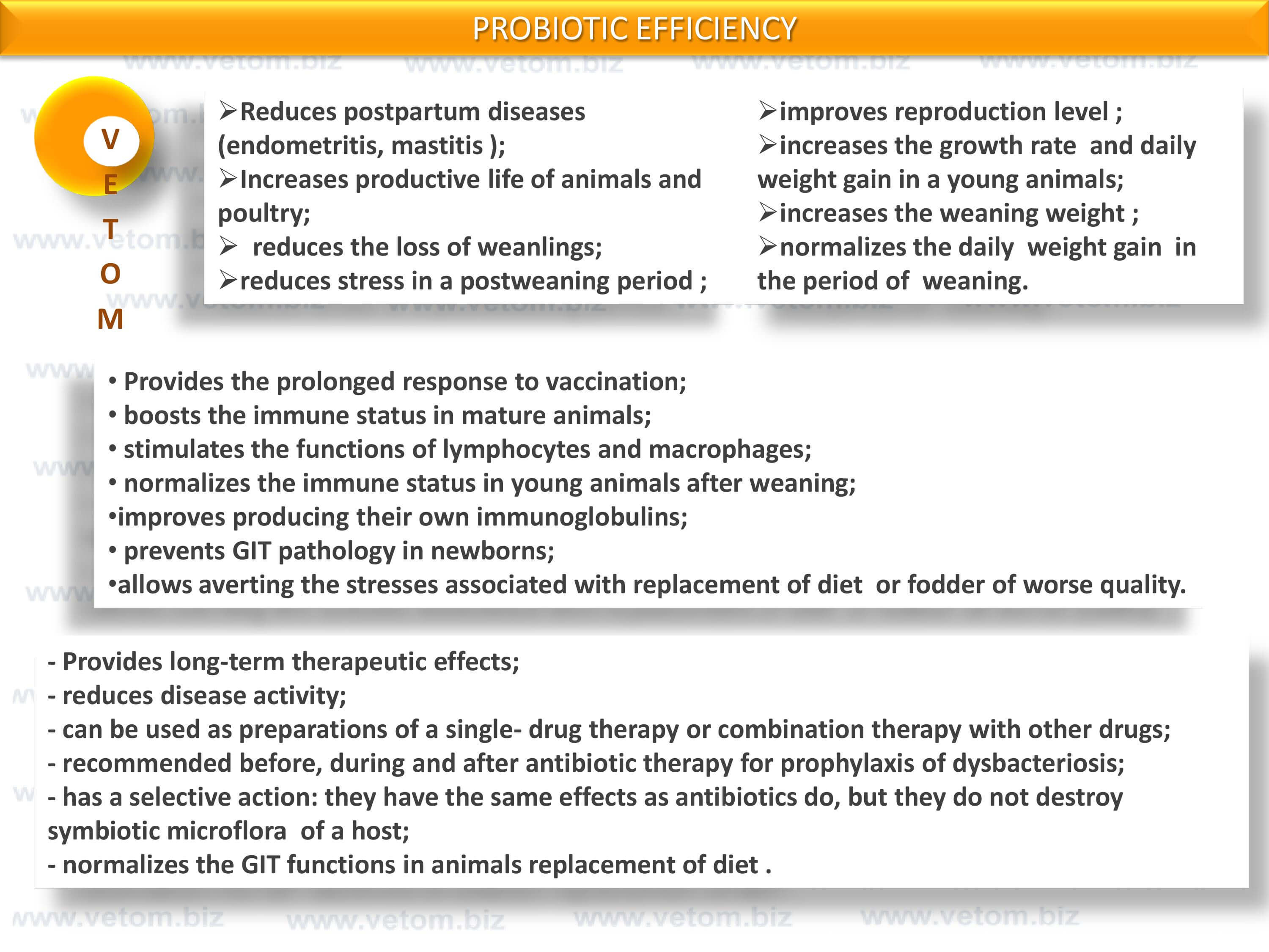 VETOM - probiotic efficiency